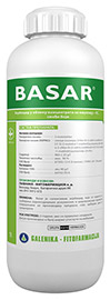 Basar
