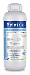 Belatrix