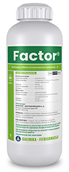 Factor