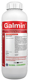 Galmin
