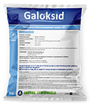 Galoksid