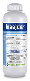 Insajder