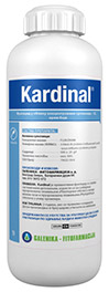 Kardinal