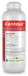 Kentaur