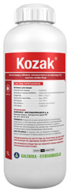 Kozak
