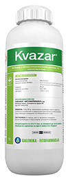 Kvazar