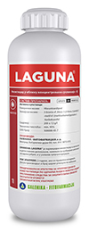 Laguna