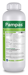 Pampas