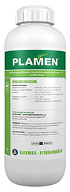 Plamen