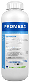 Promesa