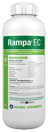 Rampa EC