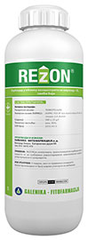 Rezon