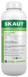 Skaut