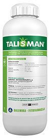 Talisman