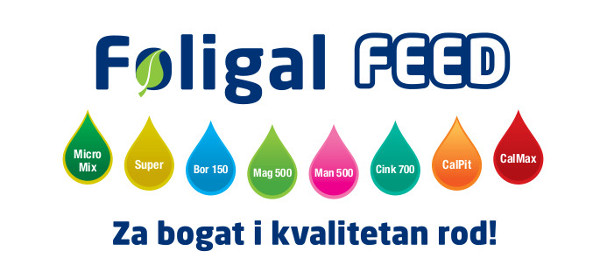 Foligal FEED linija