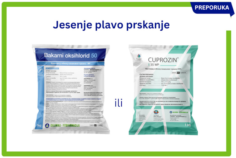Jesenje plavo prskanje