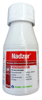 Nadzor