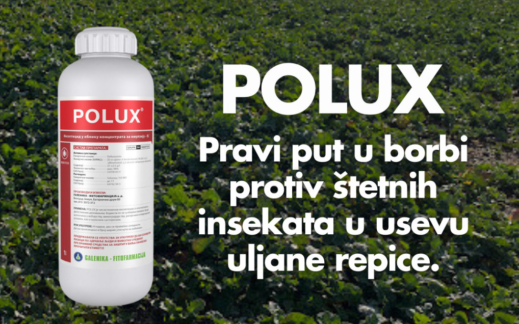 Polux