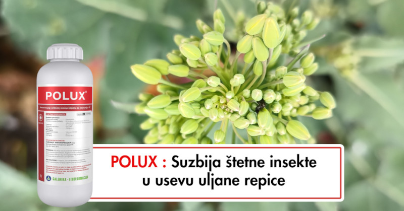 Polux