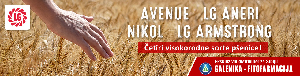 LG AVENUE, ARMSTRONG, ANERI i NIKOL - SORTE ZA VISOKE PRINOSE