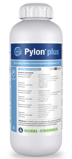 PYLON PLUS