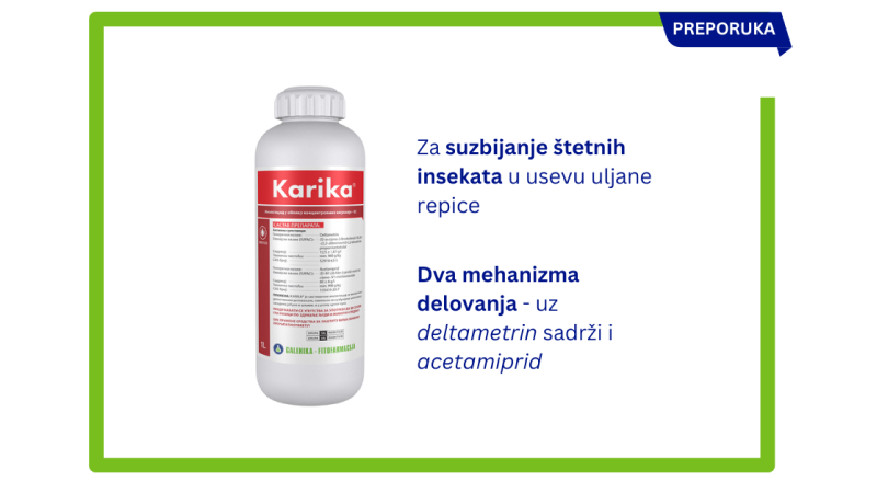 Štetočine Štetočine