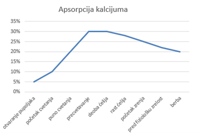 Apsorpcija kalcijuma Apsorpcija kalcijuma