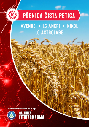 Pšenica - Limagrain katalog 2025