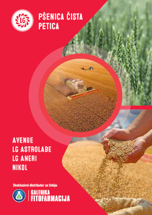 Pšenica - Limagrain katalog 2026